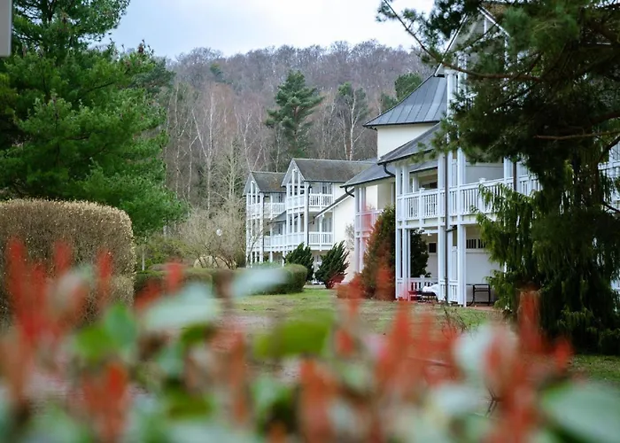 Duenenpark - Komfortplus Mit 1 Schlafzimmer Und Balkon Im Obergeschoss 119 Διαμέρισμα *